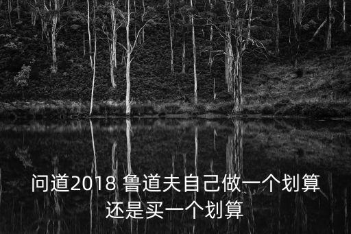 问道手游鲁道夫怎么样，问道2018 鲁道夫自己做一个划算还是买一个划算