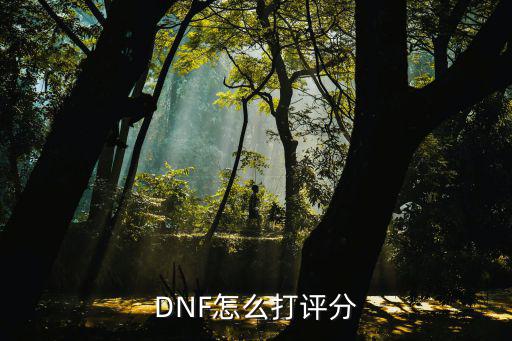 DNF怎么打评分