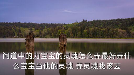 问道手游打造灵魂怎么弄，问道中的力宝宝的灵魂怎么弄最好弄什么宝宝当他的灵魂 弄灵魂我该去