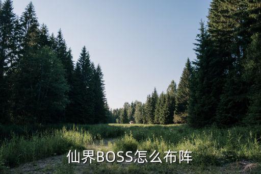 仙界BOSS怎么布阵