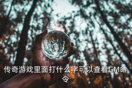 传奇游戏里面打什么字可以查看GM命令