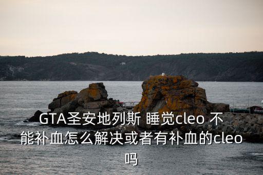 GTA圣安地列斯 睡觉cleo 不能补血怎么解决或者有补血的cleo吗