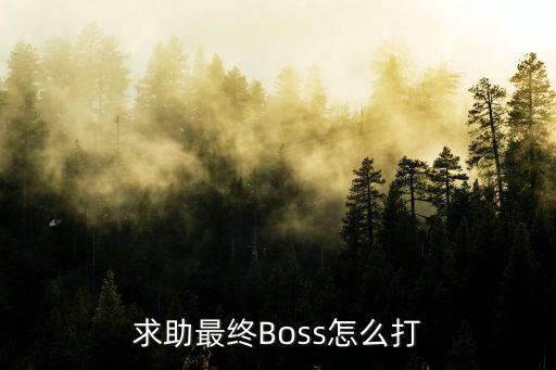 求助最终Boss怎么打