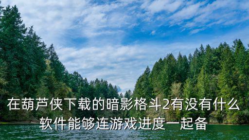 暗影格斗2手游怎么联机，暗影格斗2两个玩家怎样才能联机打