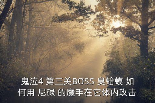 鬼泣4 第三关BOSS 臭蛤蟆 如何用 尼碌 的魔手在它体内攻击