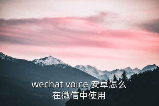 wechat voice 安卓怎么在微信中使用