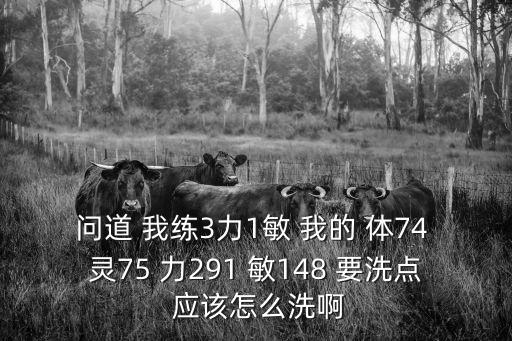 问道手游洗灵怎么洗，问道 我练3力1敏 我的 体74 灵75 力291 敏148 要洗点 应该怎么洗啊