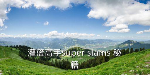 灌篮高手super slams 秘籍