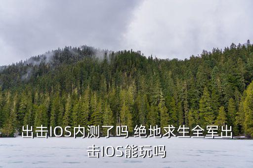 出击IOS内测了吗 绝地求生全军出击IOS能玩吗