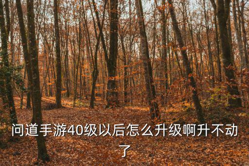 问道手游40级以后怎么升级啊升不动了