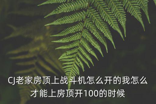 CJ老家房顶上战斗机怎么开的我怎么才能上房顶开100的时候