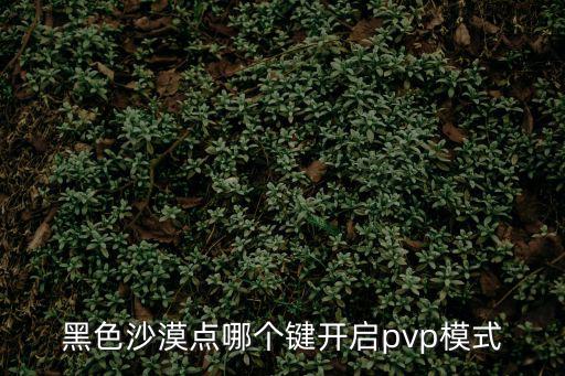 黑色沙漠点哪个键开启pvp模式