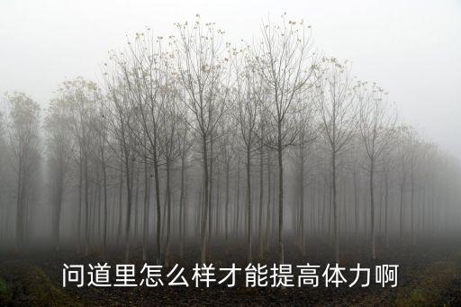 问道里怎么样才能提高体力啊