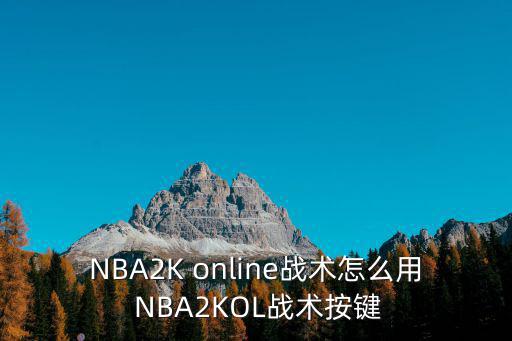 NBA2K online战术怎么用 NBA2KOL战术按键