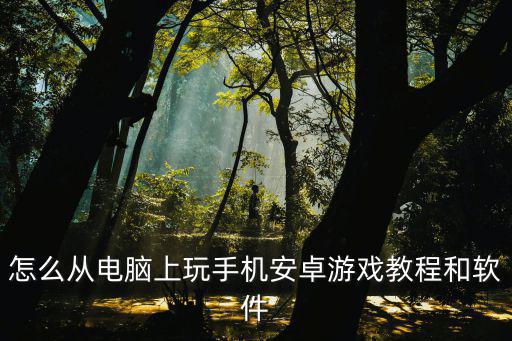 怎么从电脑上玩手机安卓游戏教程和软件