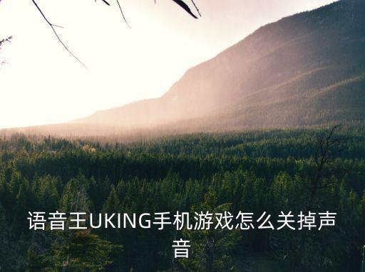 语音王UKING手机游戏怎么关掉声音