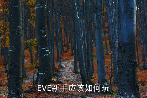 EVE新手应该如何玩