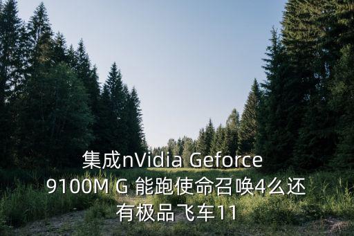 集成nVidia Geforce 9100M G 能跑使命召唤4么还有极品飞车11