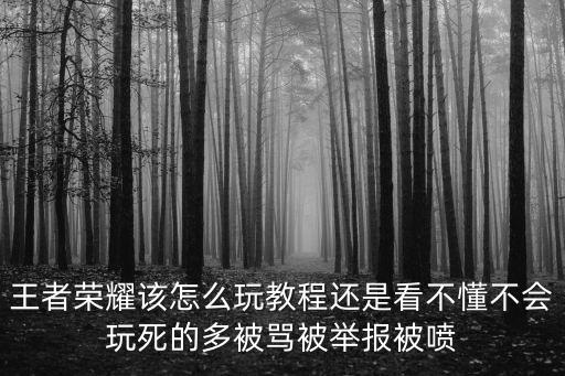 王者荣耀该怎么玩教程还是看不懂不会玩死的多被骂被举报被喷