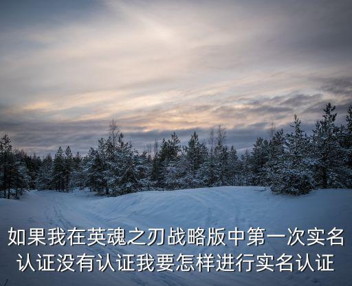 英魂之刃手游怎么查询实名认证，如果我在英魂之刃战略版中第一次实名认证没有认证我要怎样进行实名认证