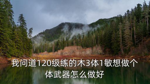 我问道120级练的木3体1敏想做个体武器怎么做好