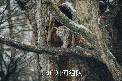 DNF 如何组队