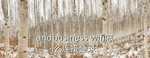 andbusiness wifi怎么连接登录