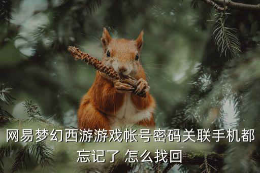 网易梦幻西游游戏帐号密码关联手机都忘记了 怎么找回