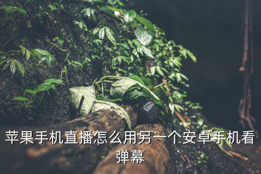 苹果手机直播怎么用另一个安卓手机看弹幕