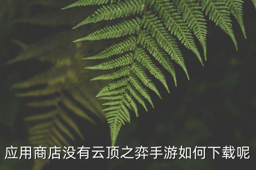 应用商店没有云顶之弈手游如何下载呢