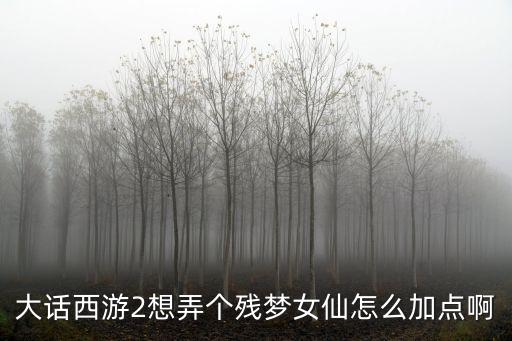 大话西游2想弄个残梦女仙怎么加点啊