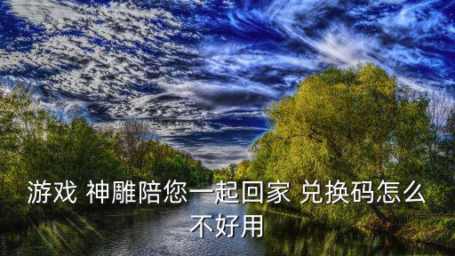 游戏 神雕陪您一起回家 兑换码怎么不好用