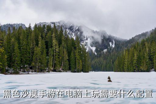 黑色沙漠手游在电脑上玩需要什么配置