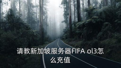 请教新加坡服务器FIFA ol3怎么充值