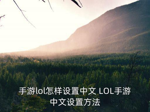 手游lol怎样设置中文 LOL手游中文设置方法