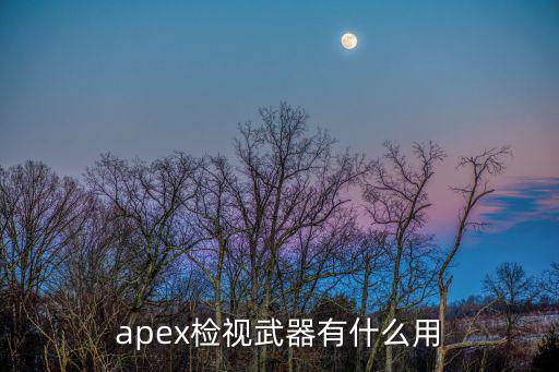 apex检视武器有什么用