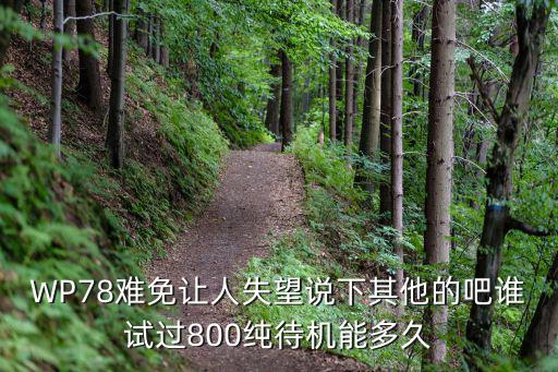 WP78难免让人失望说下其他的吧谁试过800纯待机能多久