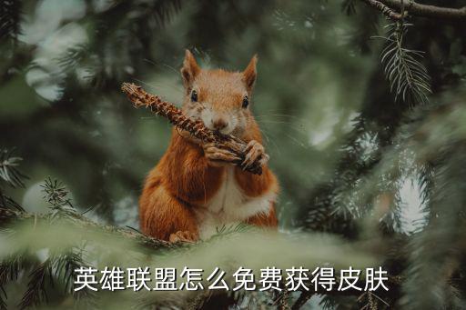 英雄联盟怎么免费获得皮肤