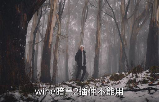 wine暗黑2插件不能用