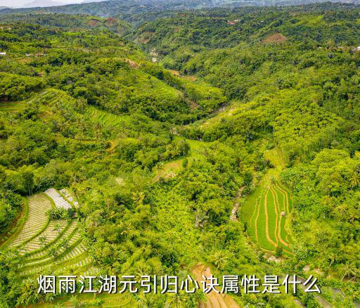 烟雨江湖元引归心诀属性是什么