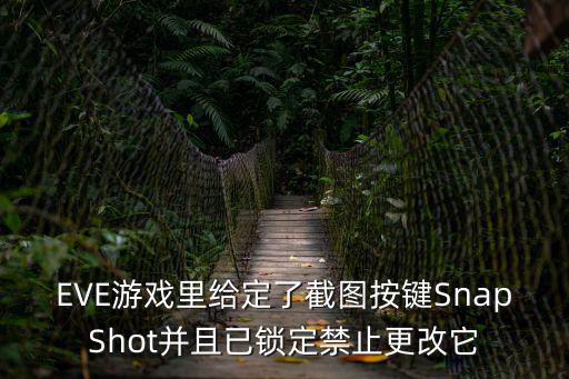 EVE游戏里给定了截图按键SnapShot并且已锁定禁止更改它