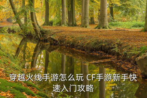 穿越火线手游怎么玩 CF手游新手快速入门攻略