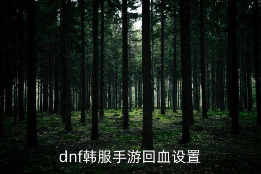 dnf韩服手游回血设置