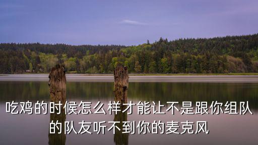 吃鸡的时候怎么样才能让不是跟你组队的队友听不到你的麦克风