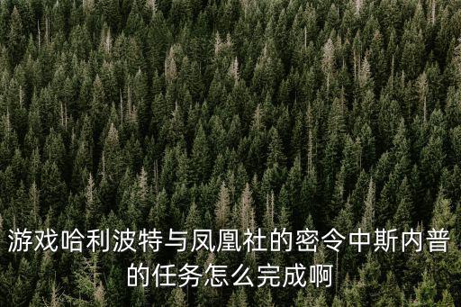 游戏哈利波特与凤凰社的密令中斯内普的任务怎么完成啊