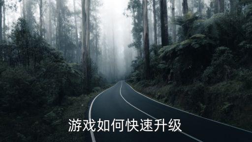 游戏如何快速升级