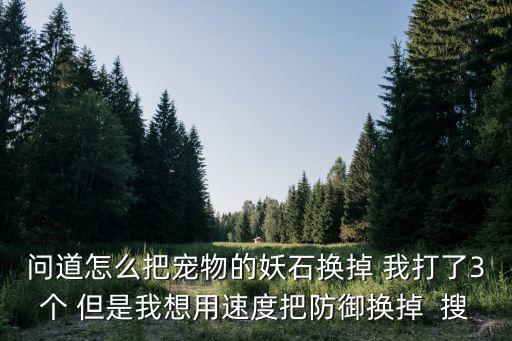 问道怎么把宠物的妖石换掉 我打了3个 但是我想用速度把防御换掉  搜