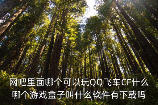 网吧里面哪个可以玩QQ飞车CF什么哪个游戏盒子叫什么软件有下载吗