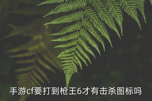 手游cf要打到枪王6才有击杀图标吗