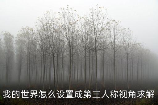 我的世界怎么设置成第三人称视角求解